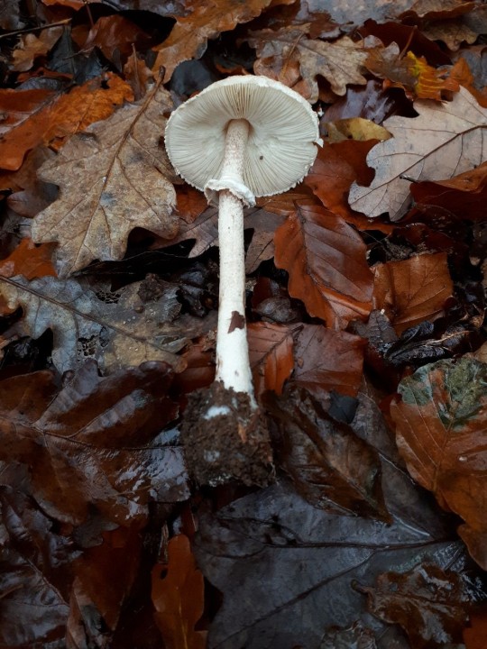 20211126_162945-2.jpg