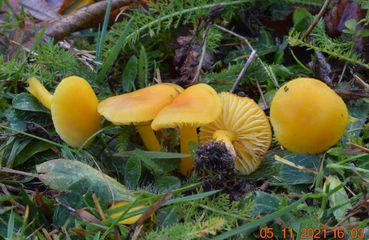 DSC_2381.JPG