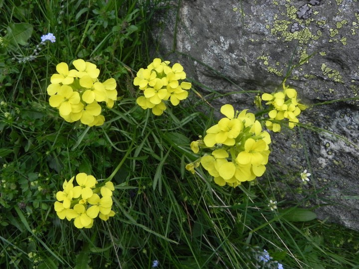 DSCN7984.JPG