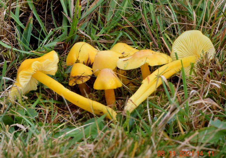DSC_2396.JPG