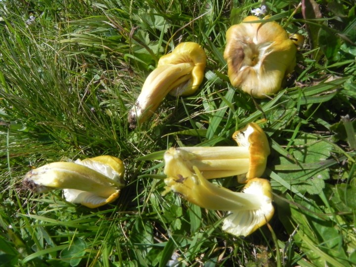 DSCN0123.JPG