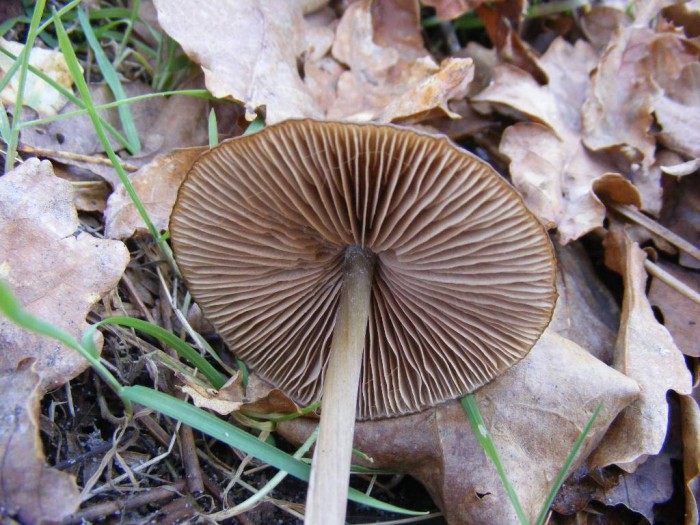 2008_1006essai0008.JPG