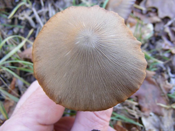 2008_1006essai0009.JPG
