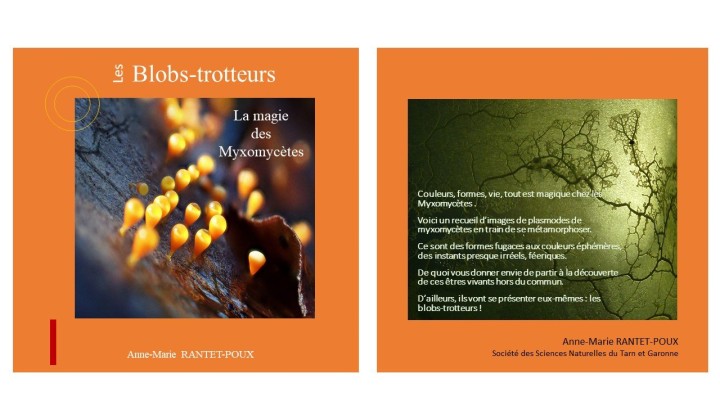 La couverture Blobs-trotteurs.jpg