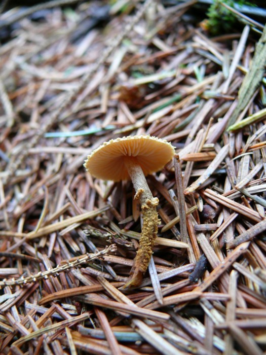 9 nov 235.JPG