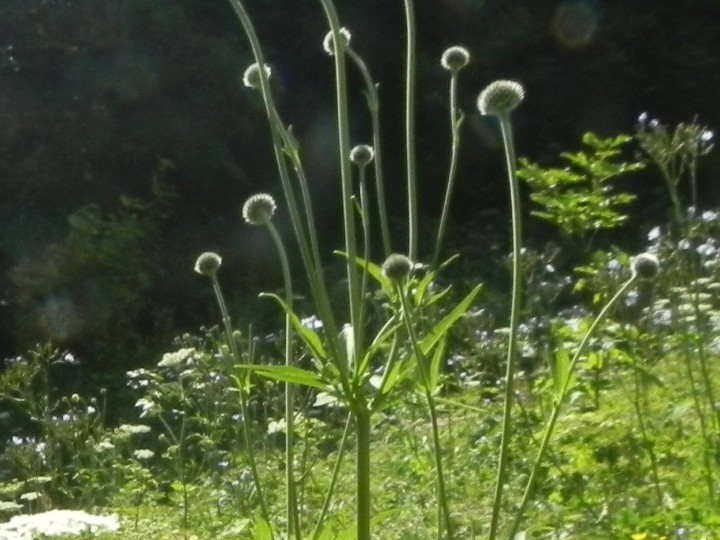 DSCN9578b.JPG