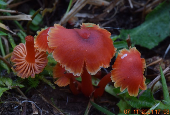 DSC_2384.JPG