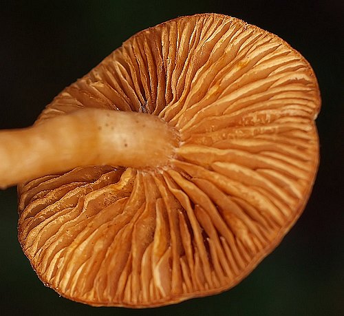 2008_12260008.JPG
