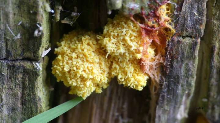 3 AOUT 2021.s (6).jpg