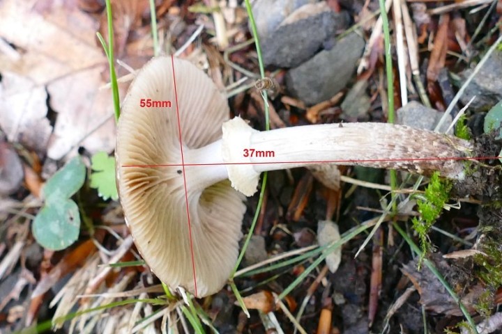 photo 3.JPG