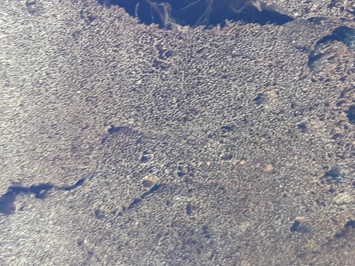 20220314_142526.jpg