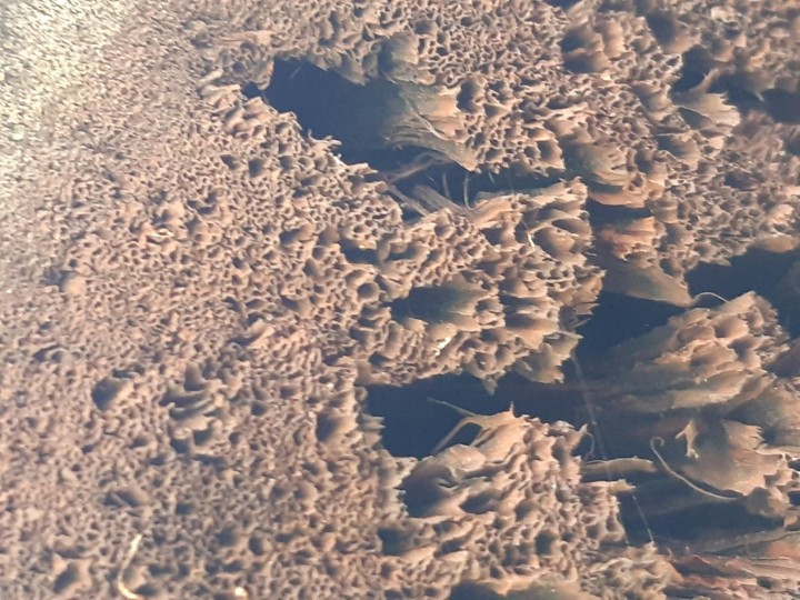 20220314_142530.jpg