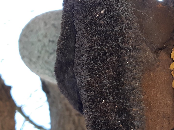 20220314_104530.jpg