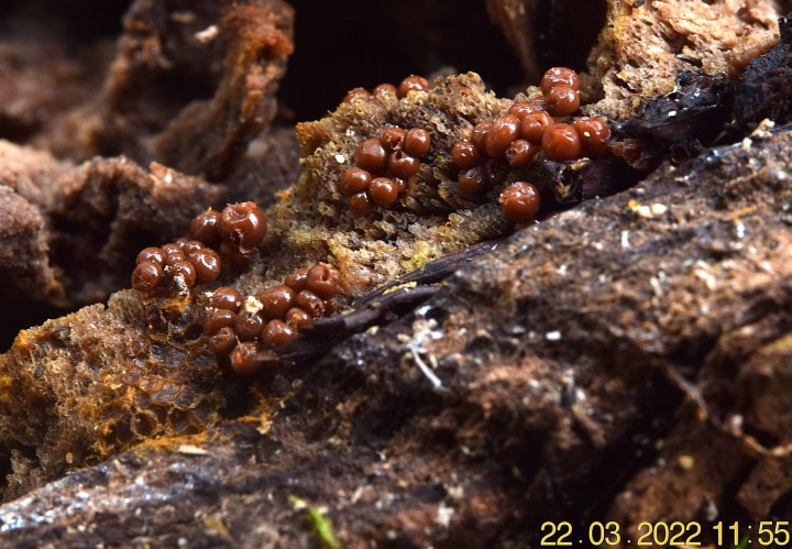 DSC_2463.JPG