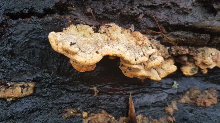 20201221_150111.jpg
