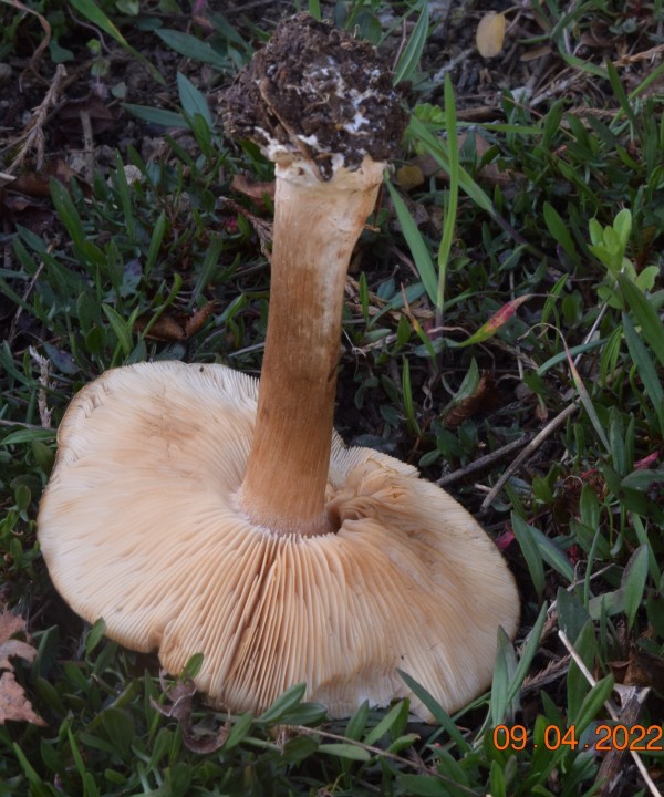 DSC_2481.JPG