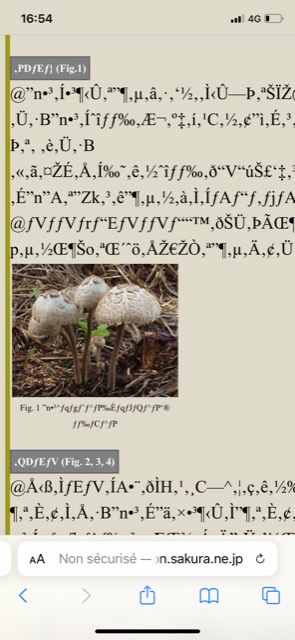 07AE6FB1-E810-4484-8A2D-01AA6ACC8930.png