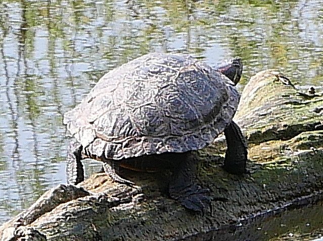 20220415_151057bis.JPG