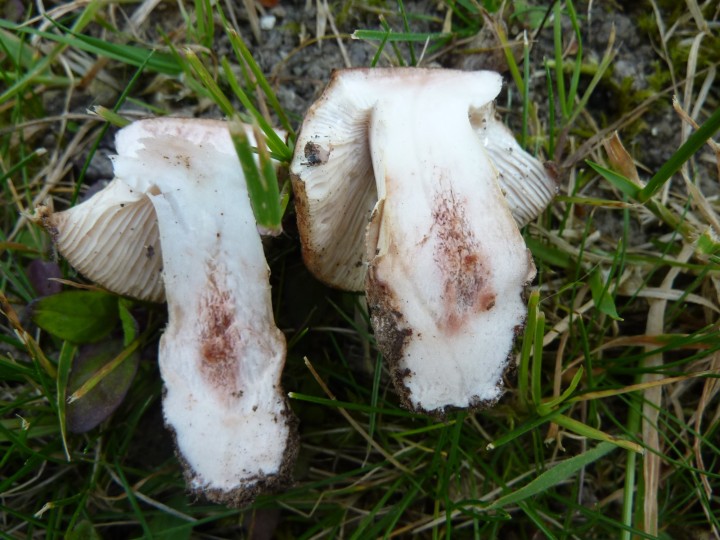 P1120382.JPG