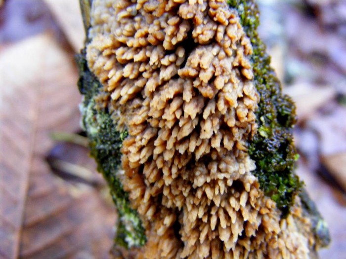 2008_1027essai0028.JPG