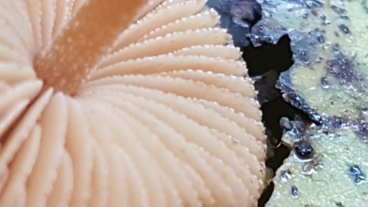 39486_45f5be9665510f7d1d76a4ff9c0a7d90.jpeg