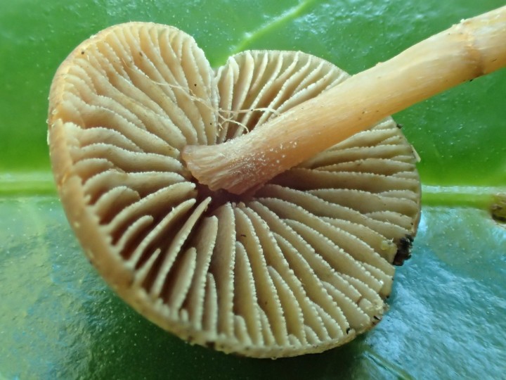 PA028856.JPG