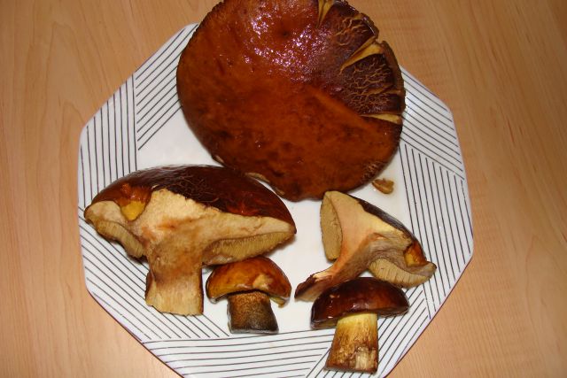 Champignons recette2.jpg