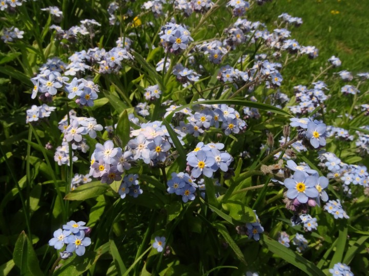 DSC02752.JPG