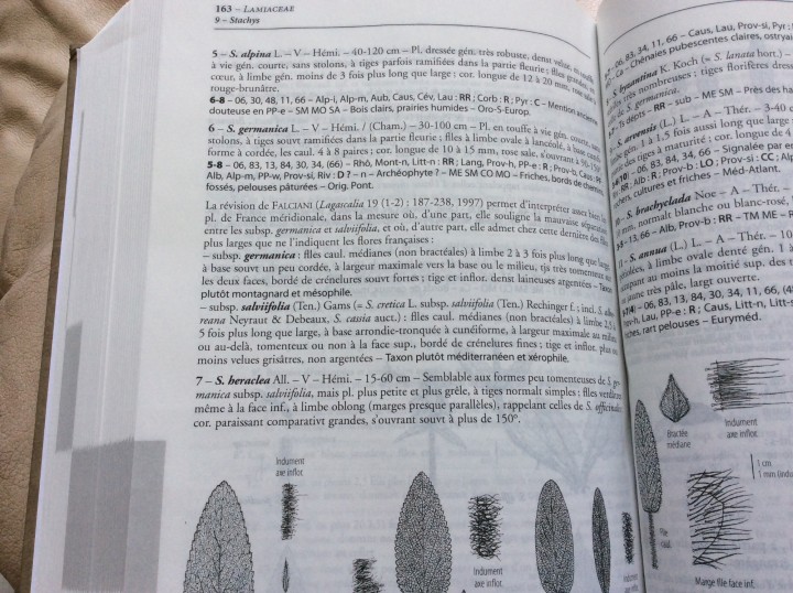 ECCEE6ED-1C25-47B1-A3B2-AC03FB331314.jpeg