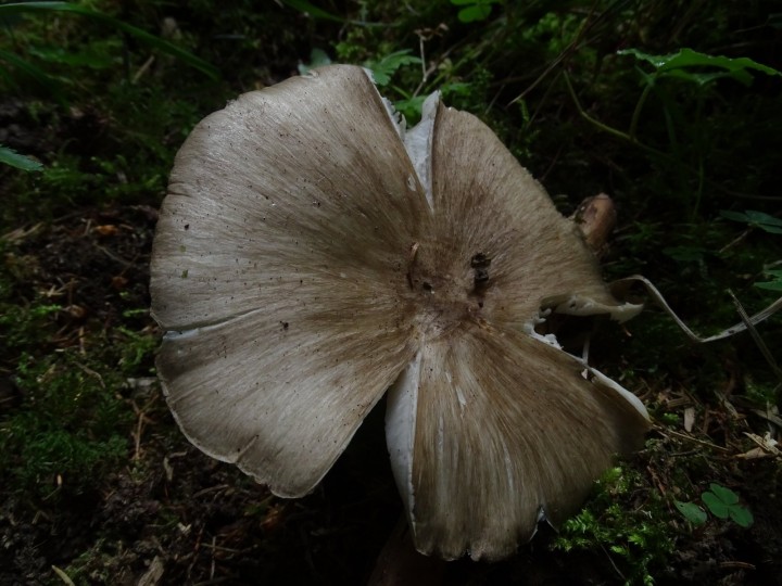 DSC03144.JPG
