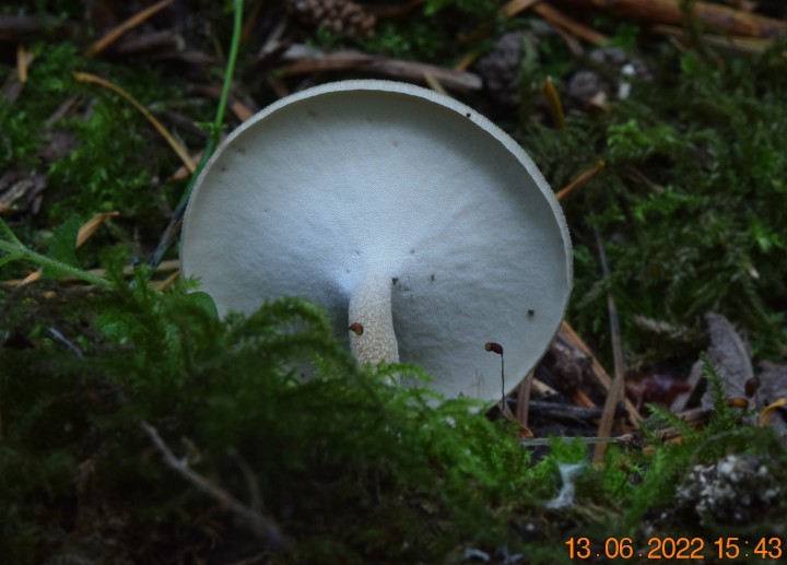 DSC_2585.JPG