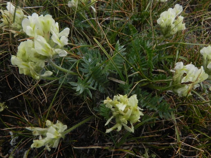 DSCN9955.JPG