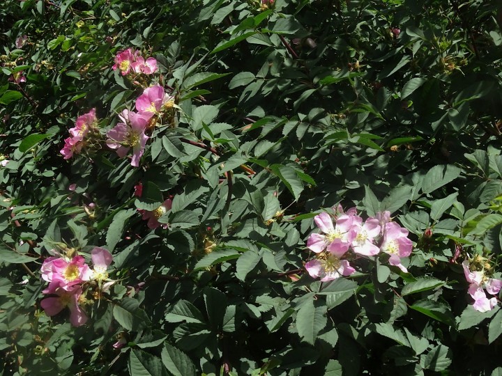 DSC03292.JPG