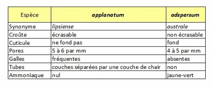 Cliquer sur l'image pour agrandir