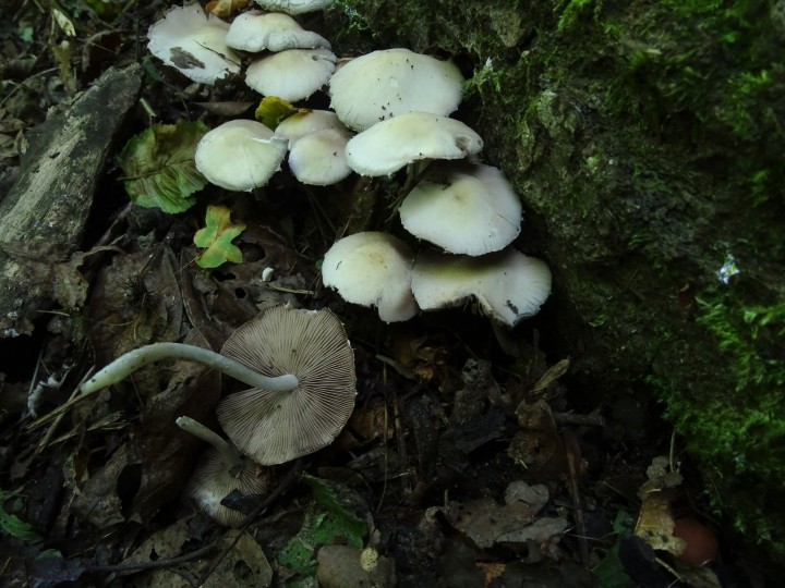 DSC03373.JPG