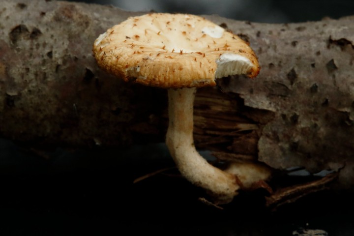 4X6A2356-1.JPG
