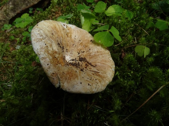 DSC03654.JPG