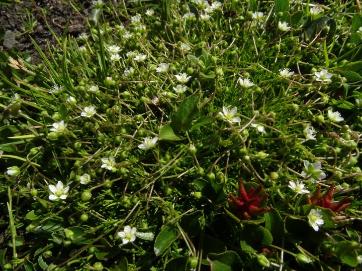 DSC03804.JPG