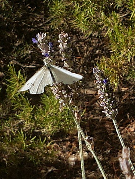 20220704_092905.JPG