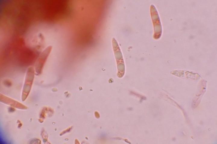 photo 3.JPG