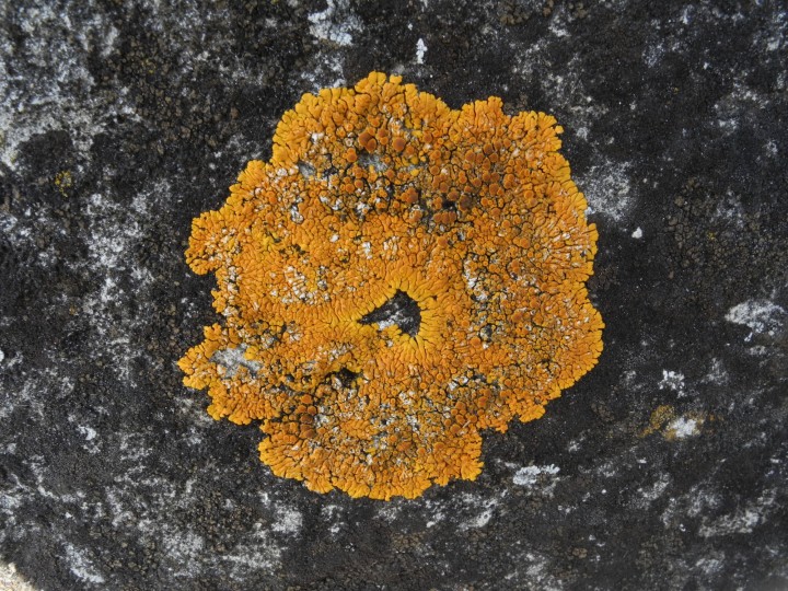 DSCN7576.JPG