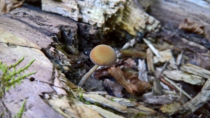 WP_20220824_18_51_49_Pro.jpg