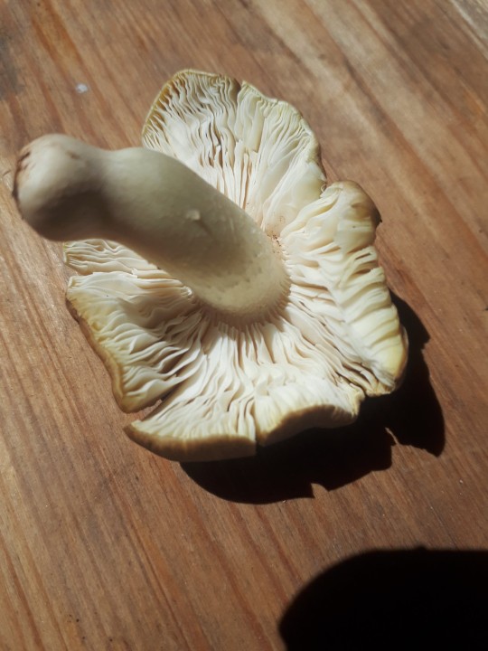 20220828_133323.jpg