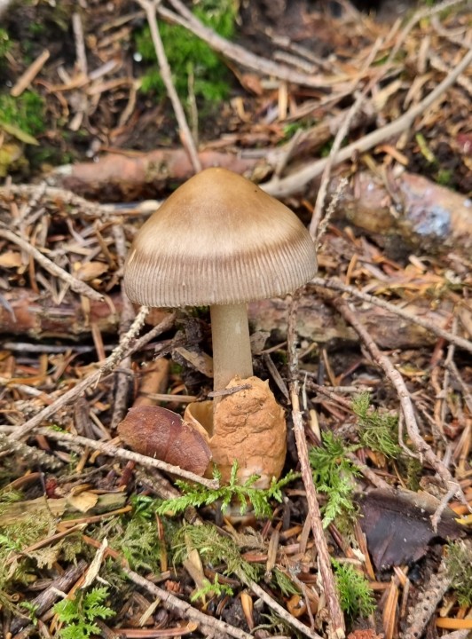20220902_134615.jpg