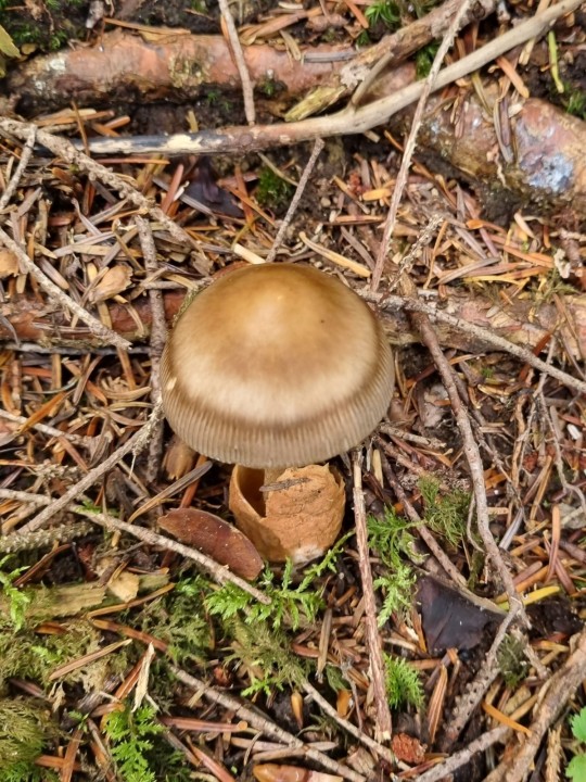 20220902_134618.jpg
