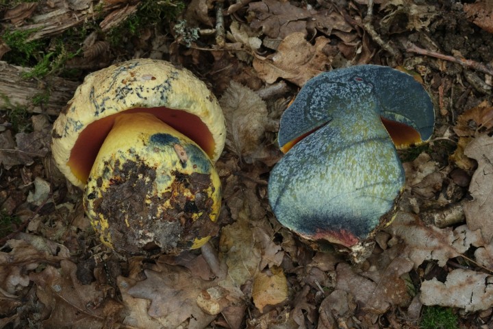 DSCF4257.jpg