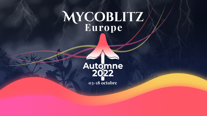 Mycoblitz_EU_FR.png