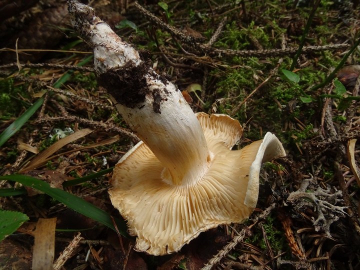 DSC03966.JPG
