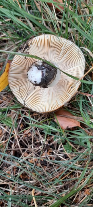 20220928_165154.jpg