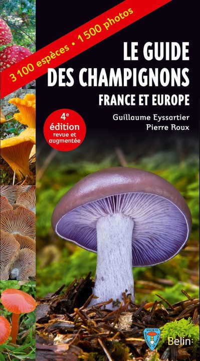 Cliquer sur l'image pour agrandir